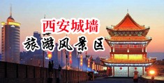 一级操逼视频播放中国陕西-西安城墙旅游风景区