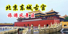 日小嫩骚逼逼逼里面满满的精液流了一地中国北京-东城古宫旅游风景区